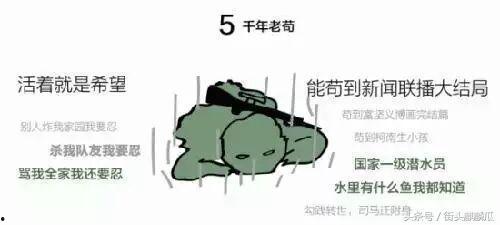 瓜哥带你吃瓜看世界