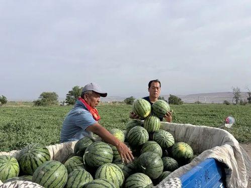 哪个国家吃瓜视频,我国“吃瓜群众”现象背后的文化现象