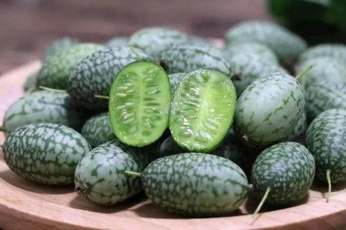 吃瓜墨西哥,探寻瓜类佳肴的独特风味