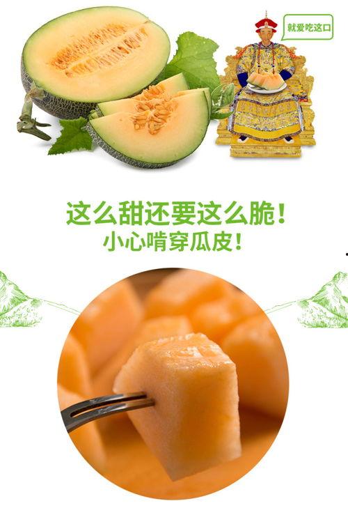 吃蜜瓜发热,揭秘吃蜜瓜发热的秘密