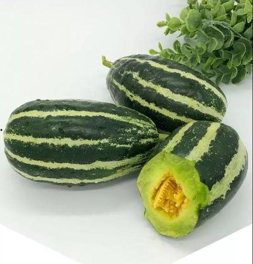 51黑瓜吃料网每日大瓜