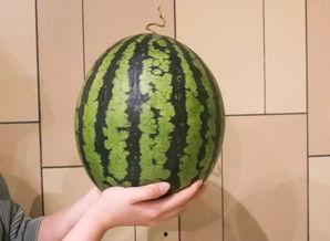 泰隆杭州分行吃瓜,一场吃瓜群众的围观盛宴